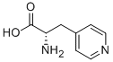 Structure of L-4-PYRIDYLALANINE