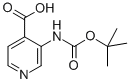 Structure of 3-TERT-BUTOXYCARBONYLAMINO-ISONICOTINIC ACID
