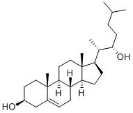Structure of 22(R)-HYDROXYCHOLESTEROL