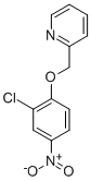 Structure of 2-[(2-Chloro-4-nitrophenoxy)methyl]pyridine