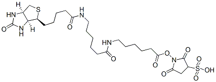Structure of SULFOSUCCINIMIDYL N-[N-(D-BIOTINYL)-6-AMINOHEXANOYL]-6-AMINOHEXANOATE