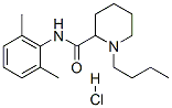 Structure of 2-Piperidinecarboxamide, 1-butyl-N-(2,6-dimethylphenyl)-, monohydrochloride