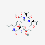 Structure of Cyclo(L-Hmb-D-Val-D-Leu-L-Hmb-L-Val-L-Leu-)