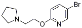 Structure of 5-bromo-2-(2-pyrrolidin-1-ylethoxy)pyridine