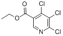 Structure of 4,5,6-TRICHLORONICOTINIC ACID ETHYL ESTER