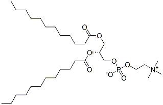 Structure of 1,2-DILAUROYL-SN-GLYCERO-3-PHOSPHOCHOLINE