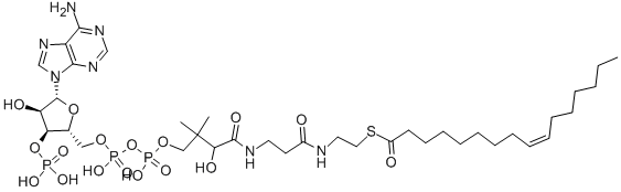 Structure of (C16:1) COENZYME A