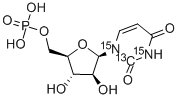 Structure of 1-(5-O-Phosphono--D-arabinofuranosyl)-2,4(1H,3H)-pyrimidinedione