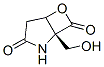 Chemical structure of 6-Oxa-2-azabicyclo[3.2.0]heptane-3,7-dione,1-(hydroxymethyl)-,(1R)-(9CI)