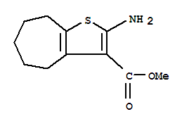 Structure of 2-Amino-3-(methoxycarbonyl)-4,5-pentamethylenethiophene