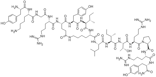 Structure of H-TYR-LYS-GLY-ARG-CYCLO(-GAMMA-GLU-TYR-ILE-EPSILON-LYS)-LEU-ILE-THR-ARG-PRO-ARG-TYR-NH2