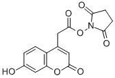 Structure of N-SUCCINIMIDYL 7-HYDROXY-4-COUMARINYL-AC