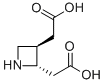 Structure of (2S,3S)-TRANS-3-(CARBOXYMETHYL)-AZETIDINE-2-ACETIC ACID