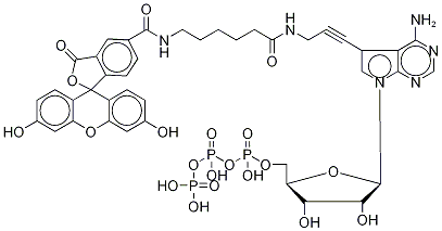 Structure of [[(2R,3R,4S,5R)-5-[4-amino-5-[3-[6-[(3',6'-dihydroxy-3-oxo-spiro[isobenzofuran-1,9'-xanthene]-5-carbonyl)amino]hexanoylamino]prop-1-ynyl]pyrrolo[2,3-d]pyrimidin-7-yl]-3,4-dihydroxy-tetrahydrofuran-2-yl]methoxy-hydroxy-phosphoryl] phosphono hydrogen phosph