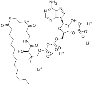 Structure of N-TETRADECANOYL COENZYME A LITHIUM SALT