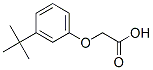 Structure of [3-(1,1-dimethylethyl)phenoxy]acetic acid