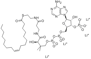 Structure of CIS-9-OCTADECENOYL COENZYME A LITHIUM SALT