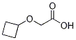 Structure of 2-cyclobutoxyacetic acid