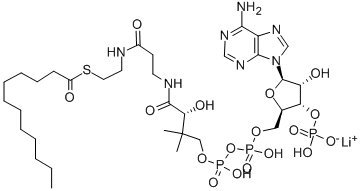 Structure of LAUROYL COENZYME A C12:0 LITHIUM SALT