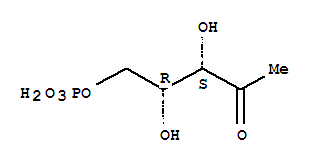 Structure of (2,3-dihydroxy-4-oxo-pentoxy)phosphonic acid