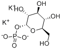 Structure of ALPHA-D-GALACTOSE-1-PHOSPHATE DIPOTASSIUM SALT DIHYDRATE