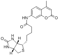Structure of N-D-Biotinyl-7-amino-4-methylcoumarin
