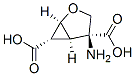 Structure of 2-Oxabicyclo[3.1.0]hexane-4,6-dicarboxylicacid,4-amino-,(1S,4S,5R,6S)-
