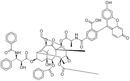 Structure of 7-O-[N-(4Fluoresceincarbonyl)-L-alanyl]Taxol