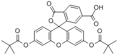 Structure of 6-CARBOXYFLUORESCEIN DIPIVALATE
