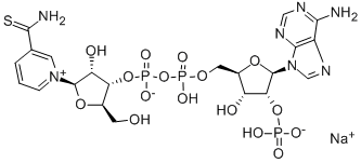 Structure of THIONICOTINAMIDE ADENINE DINUCLEOTIDEPHOSPHATE MONOSODIUM SALT