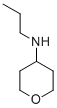 Chemical structure of N-PROPYL-TETRAHYDRO-2H-PYRAN-4-AMINE
