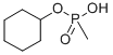 Structure of GF ACID