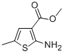 Structure of 12-AMINO-6-METHYLTHIOPHENE-3-CARBOXYLATE