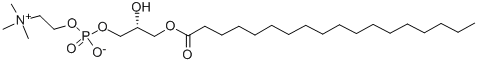 Structure of L-ALPHA-LYSOPHOSPHATIDYLCHOLINE, STEAROYL