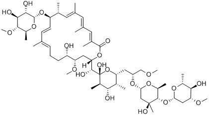 Structure of Apoptolidin