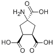 Structure of (1R,3R,4S)-1-AMINOCYCLOPENTANE-1,3,4-TRICARBOXYLIC ACID