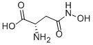 Structure of L-ASPARTIC ACID BETA-HYDROXAMATE