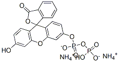 Structure of FLUORESCEIN DIPHOSPHATE DIAMMONIUM SALT*