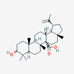 Structure of BACOSINE