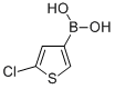 Structure of 5-CHLOROTHIOPHENE-3-BORONIC ACID