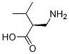 Structure of (S)-2-(aMinoMethyl)-3-Methylbutanoic acid