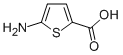 Structure of 2-Thiophenecarboxylicacid,5-amino-