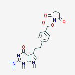 Structure of 4-[2’-(7’’-Deazaguanine)ethyl]benzoic Acid N-Hydroxysuccinimide Ester