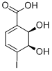 Structure of (2R,3R)-1-CARBOXY-4-IODO-2,3-DIHYDROXYCYCLOHEXA-4,6-DIENE, 95