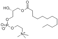 Structure of 12:0 LYSO PC