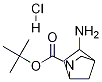 Structure of tert-Butyl 5-aMino-2-aza-bicyclo[2.2.1]heptane-2-carboxylate hydrochloride