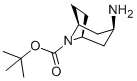 Structure of N-Boc-endo-3-aminotropane