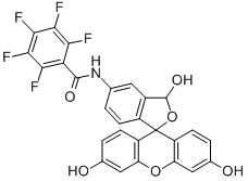 Structure of 5-(PENTAFLUOROBENZOYLAMINO)FLUORESCEIN
