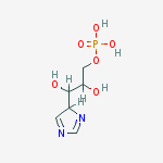 Structure of D-ERYTHRO-IMIDAZOLEGLYCEROL PHOSPHATE MONOHYDRATE