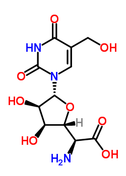 Structure of 5-Amino-1,5-dideoxy-1-(1,2,3,4-tetrahydro-5-hydroxymethyl-2,4-dioxopyrimidin-1-yl)-β-D-allofuranuronic acid